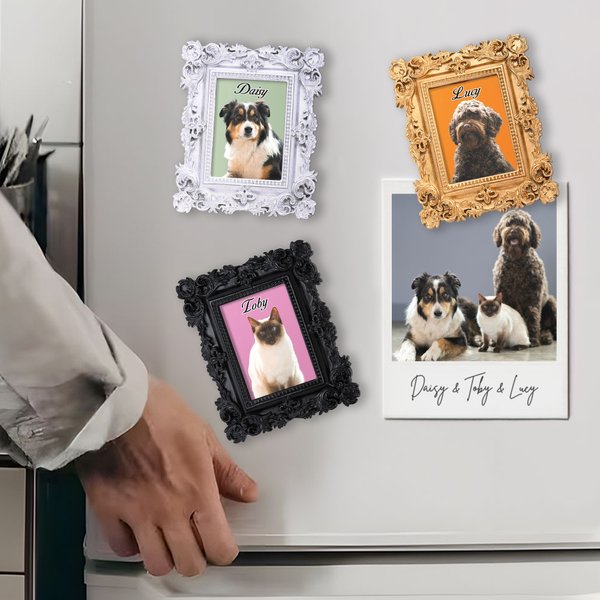 Gepersonaliseerd olieverfschilderij frame foto koelkastmagneet met naam Home Decor Verjaardag Verjaardagscadeau voor huisdierliefhebber