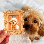 Gepersonaliseerd olieverfschilderij frame foto koelkastmagneet met naam Home Decor Verjaardag Verjaardagscadeau voor huisdierliefhebber