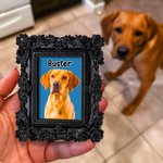 Gepersonaliseerd olieverfschilderij frame foto koelkastmagneet met naam Home Decor Verjaardag Verjaardagscadeau voor huisdierliefhebber