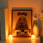 Personalised Multicolour Pet Photo Design Wooden Collar Frame with Name Home Decor Sentimental Memorial Sympathy Gift for Pet Owners Lovers