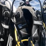 Tag identificativo BCD multicolore personalizzato con ricamo a forma di squalo e nome perfetto per immersioni e attività oceaniche regalo per sub