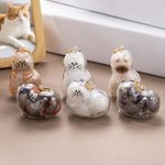Portachiavi personalizzato trasparente a forma di gatto con nome per conservare i peli dell'animale domestico Regalo commemorativo di simpatia per i proprietari di gatti