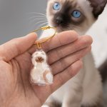 Portachiavi personalizzato trasparente a forma di gatto con nome per conservare i peli dell'animale domestico Regalo commemorativo di simpatia per i proprietari di gatti
