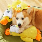 Spersonalizowana żółta kaczka Miękka piszcząca pluszowa zabawka z imieniem do gryzienia Interaktywne artykuły dla zwierząt Prezent urodzinowy dla miłośników zwierząt