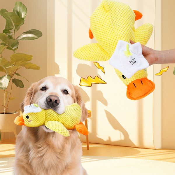 Personalized Cute Yellow Duck Soft Squeaky Plush Toy with Name for Teething Chewing Interactive Pet Supplies Birthday Anniversary Gift for Pet Lovers