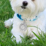 Personalized Nordic Viking Dog Tag with Name and Text Pet Supplies Daily Use Pet Party Birthday Gift for Pet Owners Nordic Culture Lovers