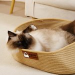 Personalised Cute Pet Photo Cotton Linen Pet Bed Basket with Handle and Name Medium Large Cat Daily Use Birthday Adoption Day Gift for Pet Owners