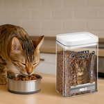 Gepersonaliseerde Paws Hond Kat Foto Luchtdichte Traktatiepot met Naam Huisdierbenodigdheden Verjaardagsgeschenk voor Huisdierliefhebbers