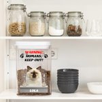 Gepersonaliseerde Paws Hond Kat Foto Luchtdichte Traktatiepot met Naam Huisdierbenodigdheden Verjaardagsgeschenk voor Huisdierliefhebbers