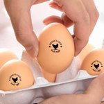 Gallina personalizzata Silhouette dell'uovo Timbro sicuro per uova in cartone con inchiostro alimentare Testo e scatola Regalo di compleanno per famiglia allevatore agricoltore