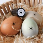 Gallina personalizzata Silhouette dell'uovo Timbro sicuro per uova in cartone con inchiostro alimentare Testo e scatola Regalo di compleanno per famiglia allevatore agricoltore
