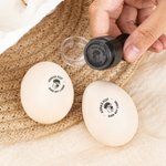 Personalisierter Eierstempel mit Hühnermotiv in Mehreren Größen Lebensmittelechte Stempelfarbe Geburtstag Geschenk für Familie Hühnerhalter Bauernhof
