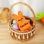Personalisierter mehrfarbiger Osterhase Deko mit LED-Licht und Namen Haus Korb Deko Ostern Party Geschenk für Familie Jungen Mädchen