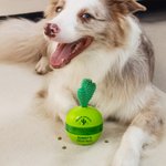 Personalized Cactus Design Dog Interactive Treat Dispenser Toy with Name Pet’s Day Birthday Gift for Pet Lovers Owners