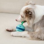Personalized Cactus Design Dog Interactive Treat Dispenser Toy with Name Pet’s Day Birthday Gift for Pet Lovers Owners