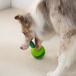 Personalized Cactus Design Dog Interactive Treat Dispenser Toy with Name Pet’s Day Birthday Gift for Pet Lovers Owners