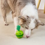 Personalized Cactus Design Dog Interactive Treat Dispenser Toy with Name Pet’s Day Birthday Gift for Pet Lovers Owners