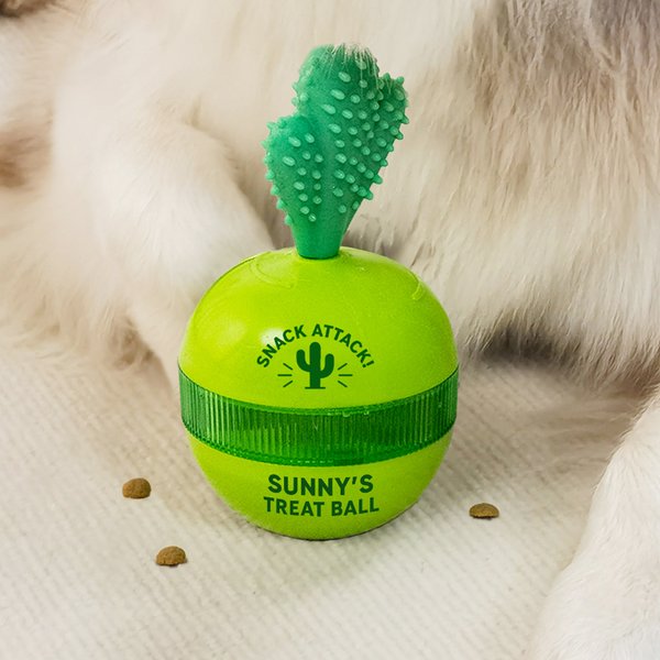 Personalized Cactus Design Dog Interactive Treat Dispenser Toy with Name Pet’s Day Birthday Gift for Pet Lovers Owners