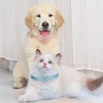 Personalisierte Linie Stil Hund Katze Design Haustier Halsband mit Air Tag Halter und Name Outdoor-Zubehör Haustier Party Geburtstagsgeschenk für Tierbesitzer