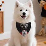 Spersonalizowany prezent na Halloween dla miłośników zwierząt No Tricks Just Treats Devil Wings Cat Dog Soft Pet Bandana Spooky Season Halloween Gift for Pet Lovers Pet Parents