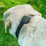 Personalisierte Linie Stil Hund Katze Design Haustier Halsband mit Air Tag Halter und Name Outdoor-Zubehör Haustier Party Geburtstagsgeschenk für Tierbesitzer