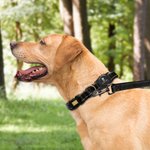 Personalised Paw Print Design Pet Locator Collar with Air Tag Holder and Name Outdoor Accessories Pet Party Birthday Gift for Pet Owners