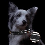 Personalised Paw Print Design Pet Locator Collar with Air Tag Holder and Name Outdoor Accessories Pet Party Birthday Gift for Pet Owners