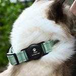 Personalised Paw Print Design Pet Locator Collar with Air Tag Holder and Name Outdoor Accessories Pet Party Birthday Gift for Pet Owners