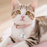 Personalized Cute Cartoon Pet Acrylic Pet Tag with Name Daily Use Birthday Gift for Pet Owners