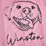 Personalized Embroidered Pet Photo Hot Water Bottle with Name and Soft Cover Winter Essential Birthday Christmas Gift for Pet Lover Family Friend