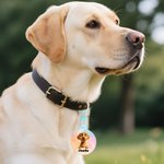 Personalized Cute Cartoon Pet Acrylic Pet Tag with Name Daily Use Birthday Gift for Pet Owners