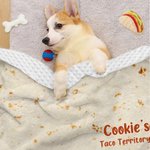 Gepersonaliseerd Funny Tortilla Zacht Huisdier Deken met Naam en Tekst Home Decor Verjaardag Kerstcadeau voor Kat Hond Huisdier Liefhebbers