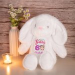 Personalisierte Ballon Cartoon Charakter niedlich Kaninchen Plüsch Plüschtier Spielzeug mit Namen Geburtstag Geschenk für Mädchen Junge