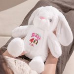Personalisierte Ballon Cartoon Charakter niedlich Kaninchen Plüsch Plüschtier Spielzeug mit Namen Geburtstag Geschenk für Mädchen Junge