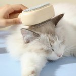 Henkilökohtainen Kissa Koira Kuva 2-in-1 Pet Hair Remover nimi päivittäinen käyttö vuosipäivä syntymäpäivä lahja lemmikkieläinten omistajille