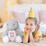 Personalisierte Ballon Cartoon Charakter niedlich Kaninchen Plüsch Plüschtier Spielzeug mit Namen Geburtstag Geschenk für Mädchen Junge