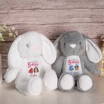 Personalisierte Ballon Cartoon Charakter niedlich Kaninchen Plüsch Plüschtier Spielzeug mit Namen Geburtstag Geschenk für Mädchen Junge