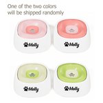 Bone Paw Heart Floating Disk Spill Proof Water Bowl with Name Daily Supplies Birthday Gift for Pet Lovers (Cadeau d'anniversaire pour les amoureux des animaux de compagnie)