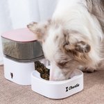 Personalizado Corazón Rojo Hueso Huella de Pata Alimentador Automático de Gravedad con Nombre Suministros para Mascotas Cumpleaños Adopción Aniversario Regalo para Amantes de las Mascotas Propietarios
