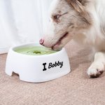 Bone Paw Heart Floating Disk Spill Proof Water Bowl with Name Daily Supplies Birthday Gift for Pet Lovers (Cadeau d'anniversaire pour les amoureux des animaux de compagnie)