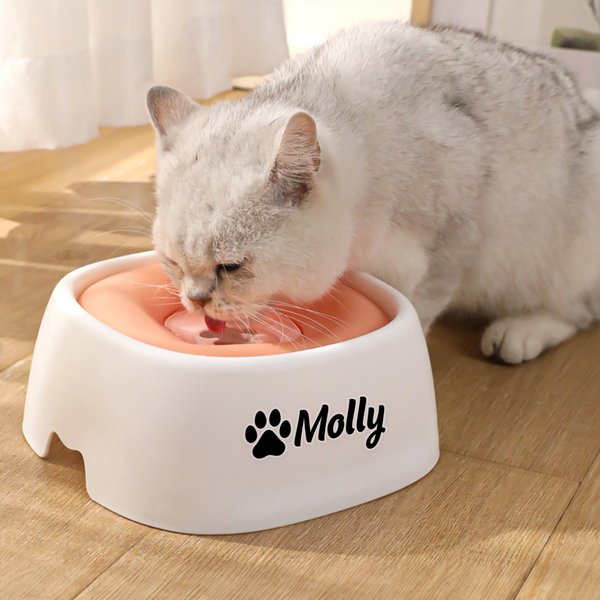 Bone Paw Heart Floating Disk Spill Proof Water Bowl with Name Daily Supplies Birthday Gift for Pet Lovers (Cadeau d'anniversaire pour les amoureux des animaux de compagnie)