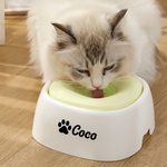 Bone Paw Heart Floating Disk Spill Proof Water Bowl with Name Daily Supplies Birthday Gift for Pet Lovers (Cadeau d'anniversaire pour les amoureux des animaux de compagnie)