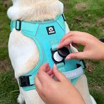 Personalizado Hueso Diseño Señalización Multicolor Arnés Pecho Mascota con Nombre y Número Actividades al Aire Libre Regalo de Cumpleaños para los Dueños Pet Lovers
