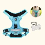 Personalizado Hueso Diseño Señalización Multicolor Arnés Pecho Mascota con Nombre y Número Actividades al Aire Libre Regalo de Cumpleaños para los Dueños Pet Lovers
