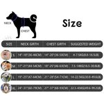 Personalizado Hueso Diseño Señalización Multicolor Arnés Pecho Mascota con Nombre y Número Actividades al Aire Libre Regalo de Cumpleaños para los Dueños Pet Lovers
