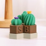 Spersonalizowany nadruk 3D Mini Cactus Clicky Fidget Toys z inicjałami Odstresowujący prezent urodzinowy na biurko dla miłośników roślin i dorosłych z ADHD