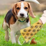Personalised Paw Print Name Portable Dog Poop Bag Dispenser with Biodegradable Bags Outdoor Activities Christmas Gift for Pet Owners Lovers