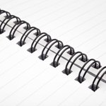 Cahier à spirales A5 gothique étoilé personnalisé avec nom Utilisation quotidienne Cadeau d'Halloween pour les amateurs de livres et les passionnés de plantes gothiques