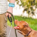 Personalised Paw Print Name Portable Dog Poop Bag Dispenser with Biodegradable Bags Outdoor Activities Christmas Gift for Pet Owners Lovers