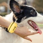 Personalised Paw Print Name Portable Dog Poop Bag Dispenser with Biodegradable Bags Outdoor Activities Christmas Gift for Pet Owners Lovers